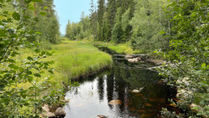 7-torpsleden vandring im Värmland - schwedenstuga